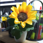 La Inteligencia Artificial: Un Aliado Transformador para el Sector No Lucrativo.